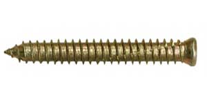 Rundkopf T30 Aufnahme