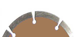 Segment Diamant Professional