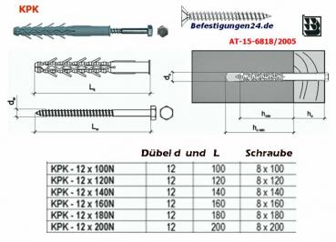 12x100 Rahmendübel+Schraube/Sechskantkopf, 25Stück