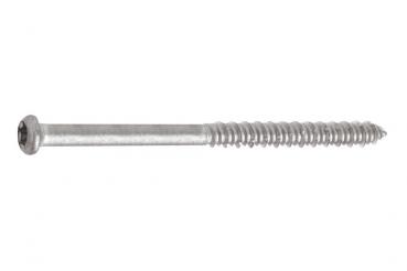 200 Stück 6,3x60 Schraubanker WBSW-K