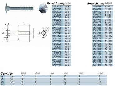Preview: Schloßschrauben Teilgewinde 10x140, 3kg/42 Stück