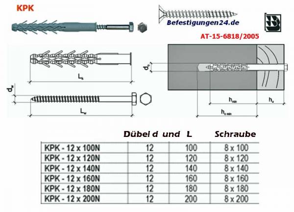 12x100 Rahmendübel+Schraube/Sechskantkopf, 25Stück